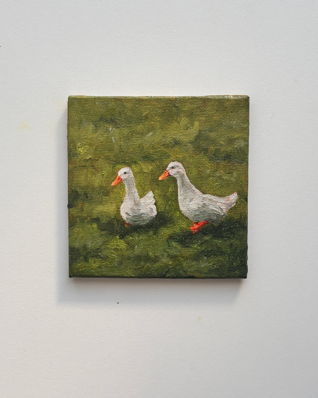 10 ducks mini