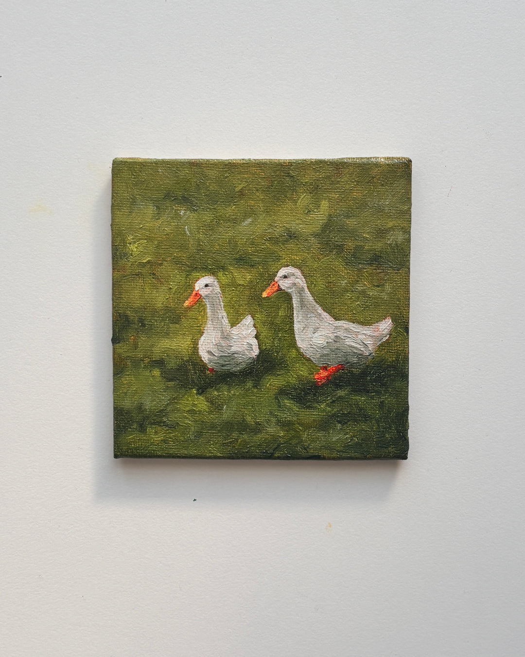 10 ducks mini