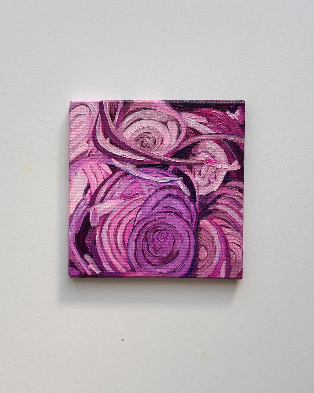 05 onion mini