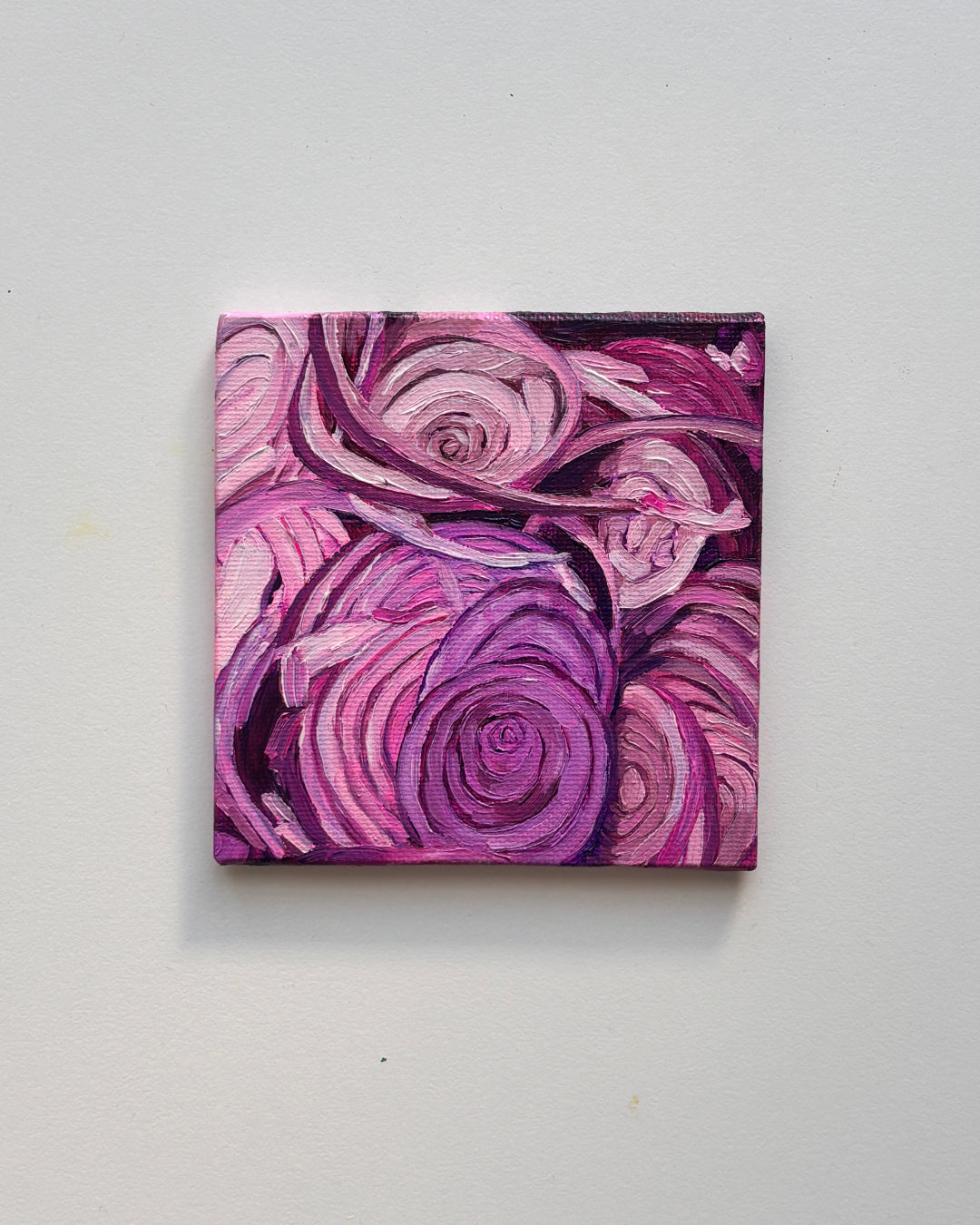 05 onion mini