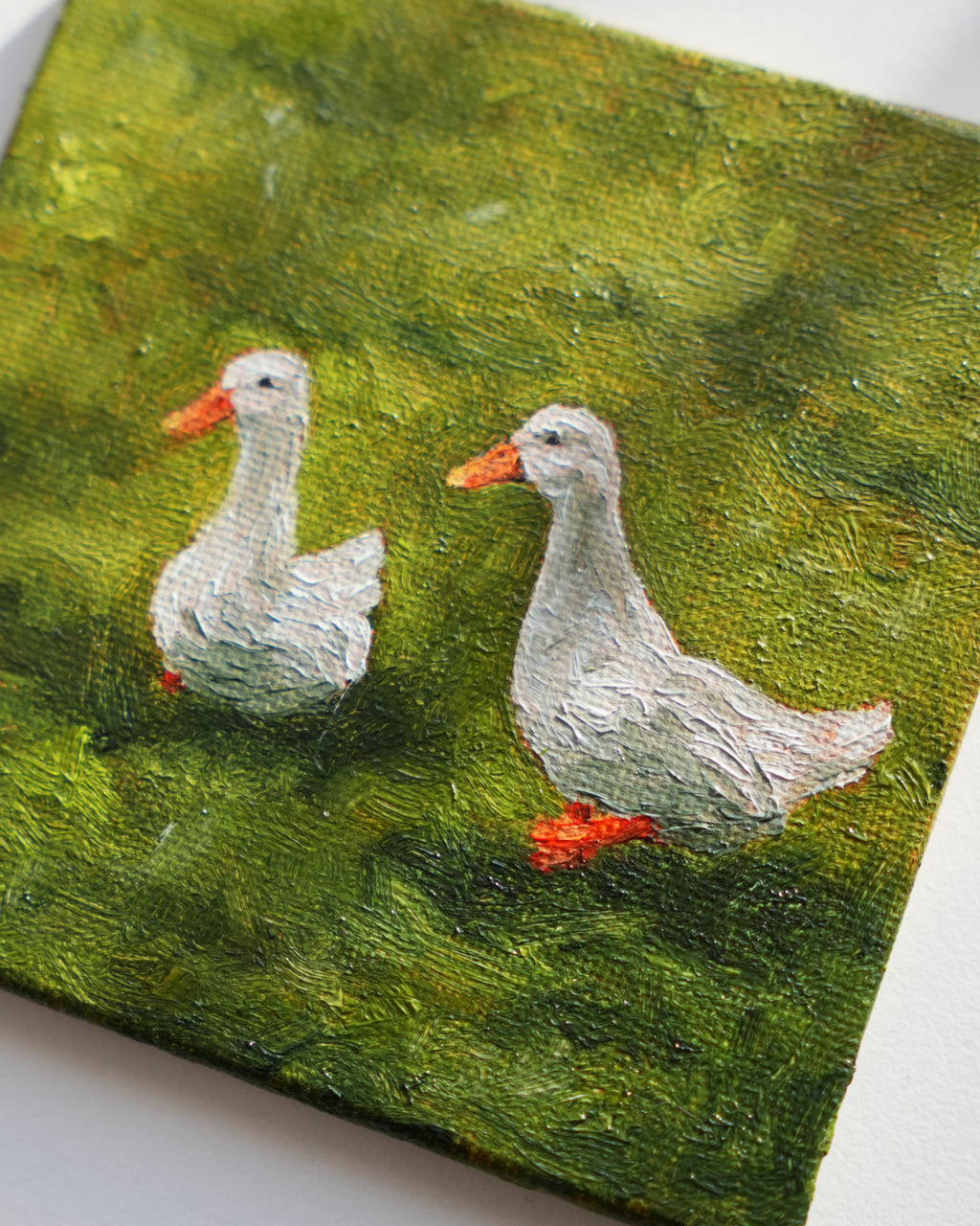 10 ducks mini